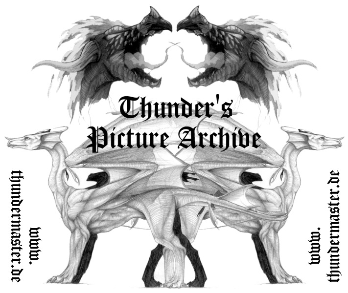 Enter ThunderMasters Picture Archive