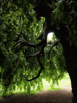 Aufnahmedatum: 05/2013
Aufnahmeort: Hyde Park

