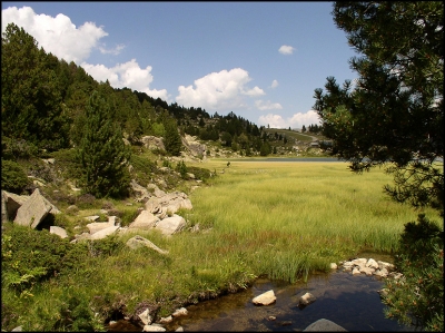 Aufnahmedatum: 8/2009
Aufnahmeort: Andorra
