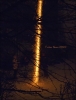 Filename=2011.jpg
Filesize=391KiB
Dimensions=614x800
Date added=Jan 01, 2011 2011.jpg