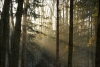 Filename=PC302485.jpg
Filesize=342KiB
Dimensions=962x650
Date added=Dec 30, 2010 PC302485.jpg