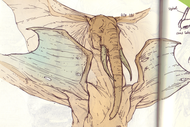 elephantguy.png