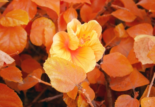P4250816