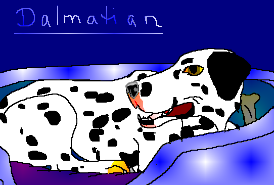 pongopo.png